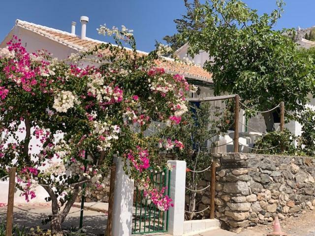Casa Isabel - La Almona Chica Pension El Chorro Buitenkant foto